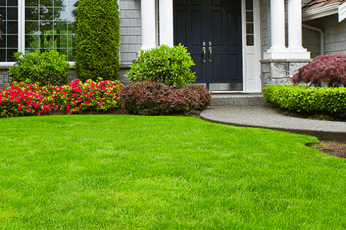landscaping in Nigeria - How Much Does Landscaping Cost in Nigeria