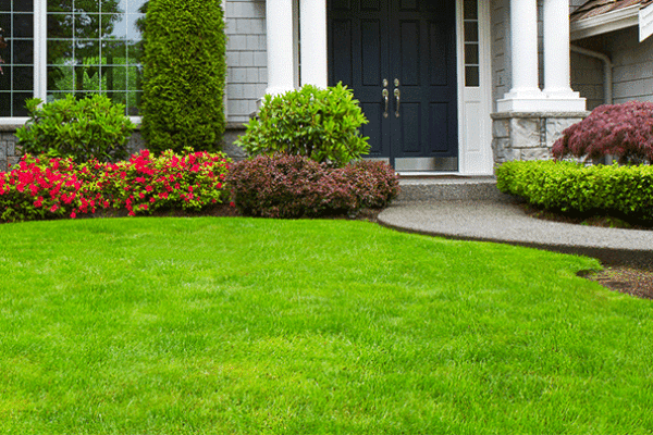 landscaping in Nigeria - How Much Does Landscaping Cost in Nigeria